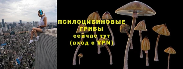 Альфа ПВП Беломорск